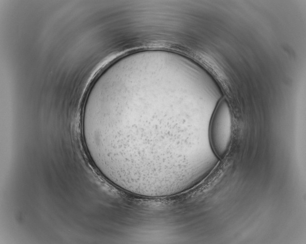X0000112920948200909211050