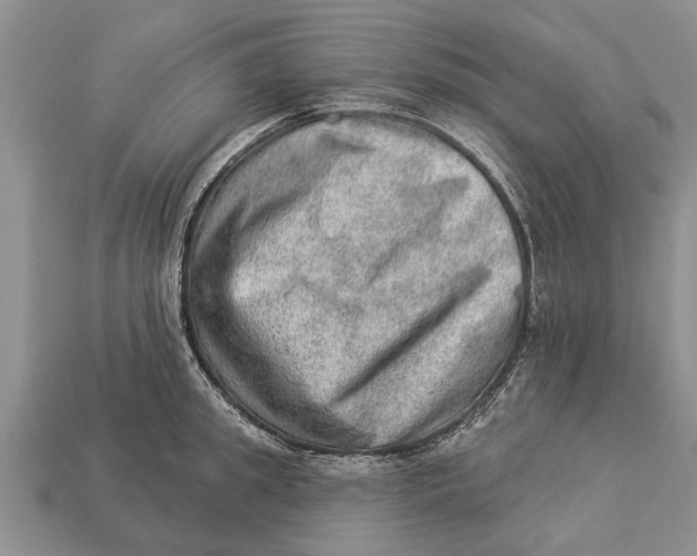 X0000112920949200909211050