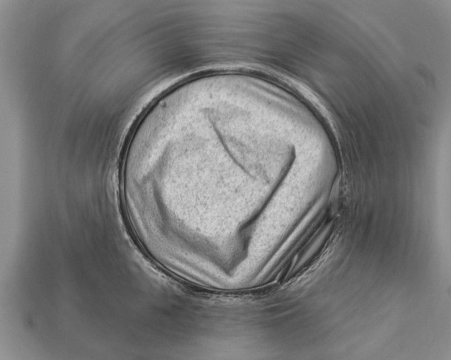 X0000112920951200909211050