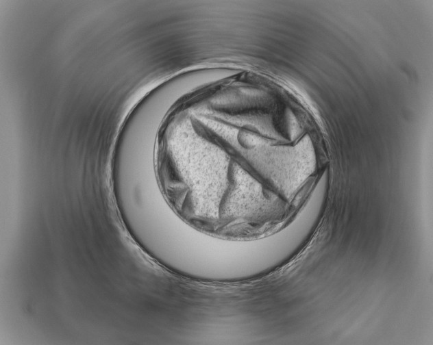 X0000112920952200909211050