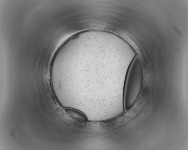 X0000112920956200909211050