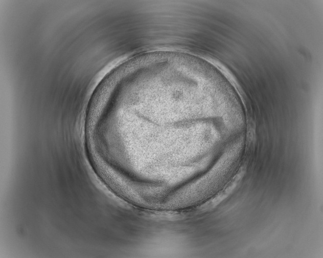 X0000112920957200909211050