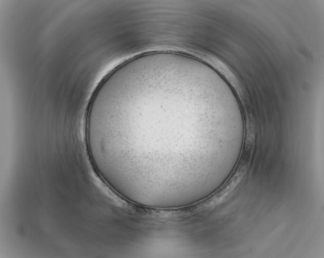 X0000112920958200909211050