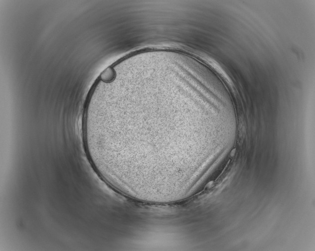 X0000112920959200909211050