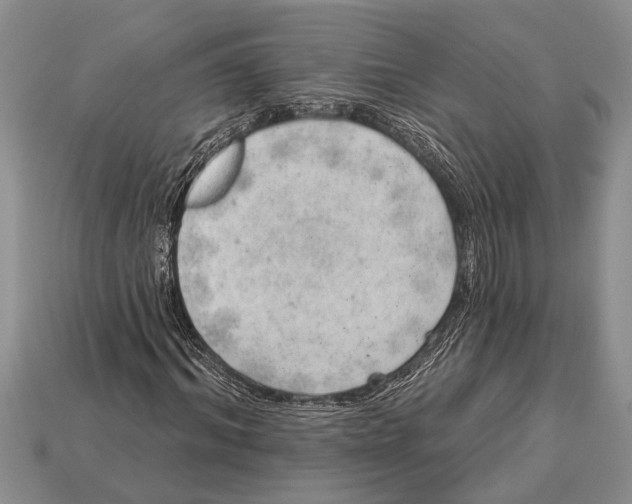 X0000112920964200909211049