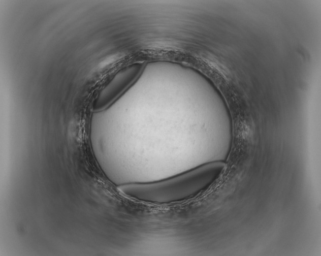 X0000112920965200909211049