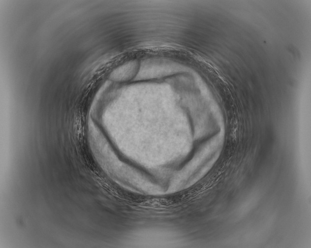 X0000112920966200909211049