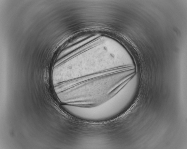 X0000112920969200909211049