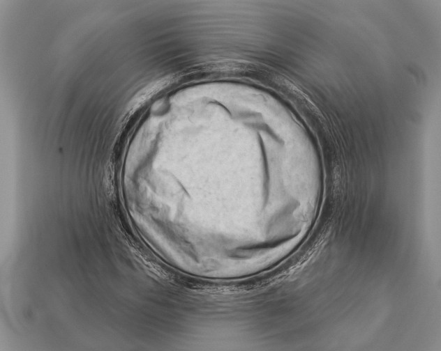 X0000112920970200909211049