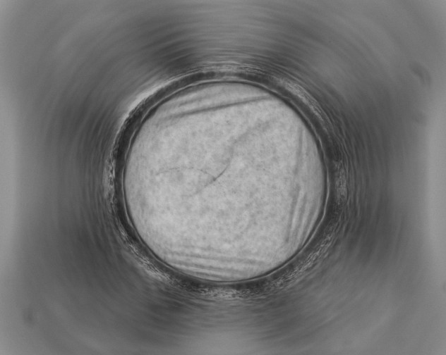 X0000112920971200909211049