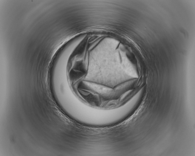 X0000112920973200909211049
