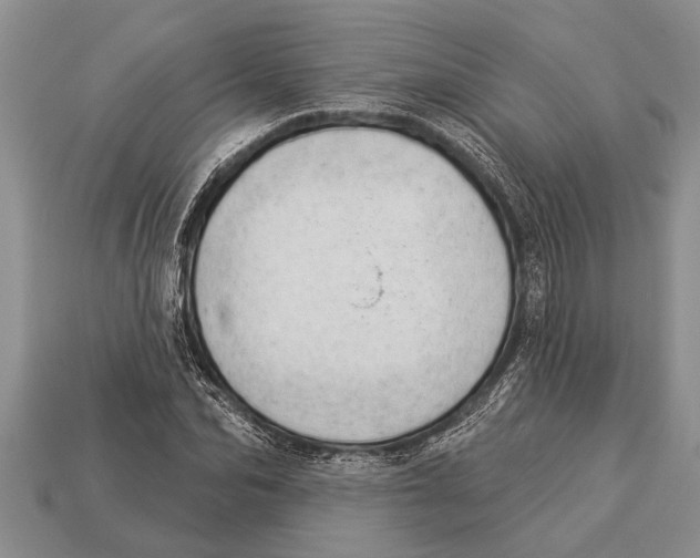 X0000112920974200909211049