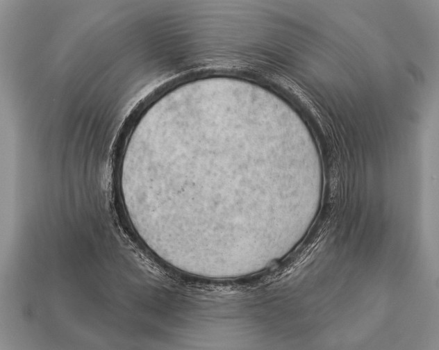 X0000112920975200909211049