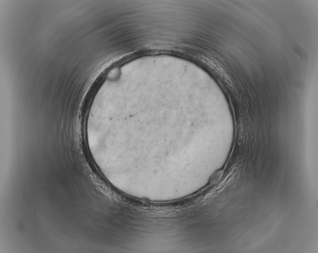 X0000112920976200909211049