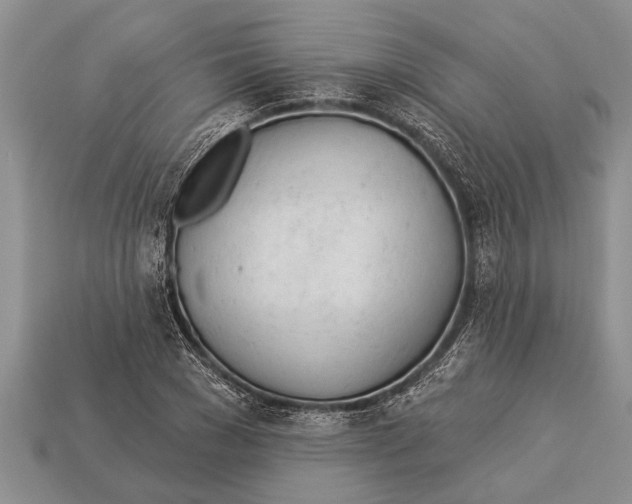 X0000112920977200909211049