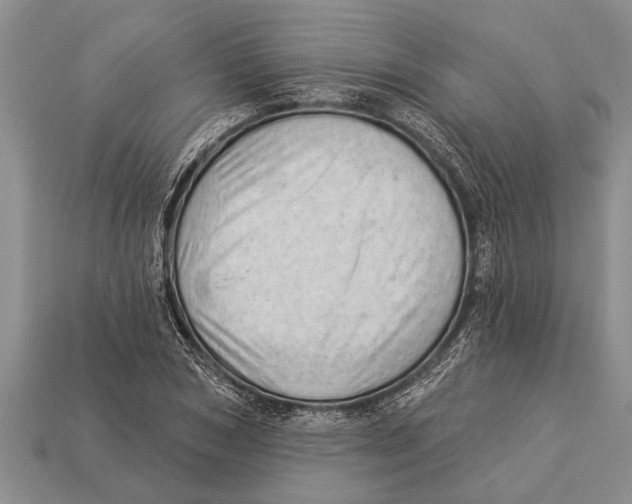 X0000112920978200909211049