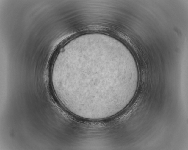 X0000112920979200909211049