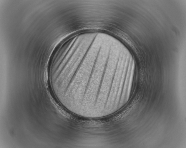 X0000112920980200909211049