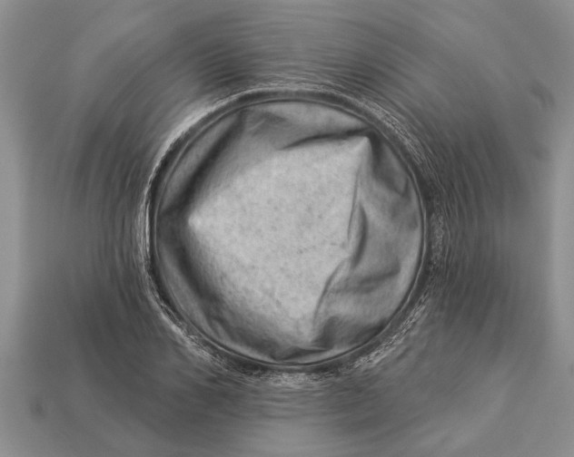 X0000112920982200909211049