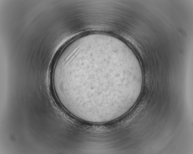 X0000112920983200909211049