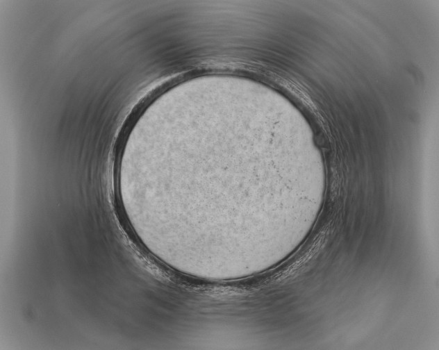 X0000112920984200909211049