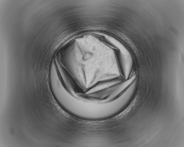 X0000112920985200909211049