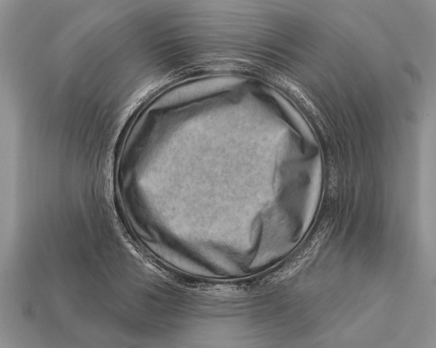 X0000112920986200909211049