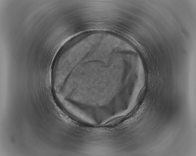X0000112920988200909211049