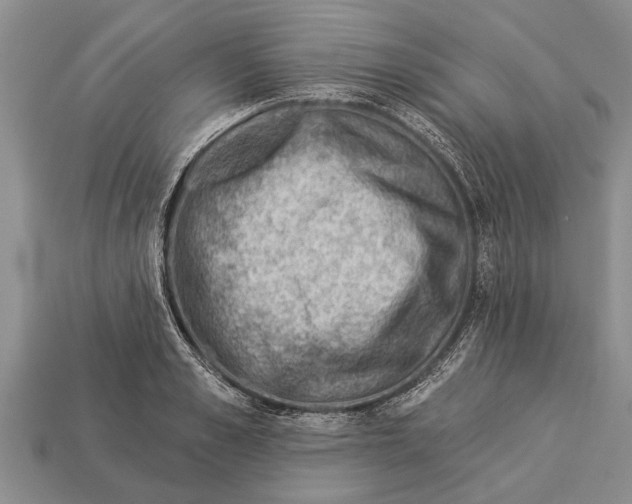 X0000112920989200909211049