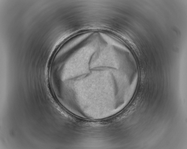 X0000112920990200909211049