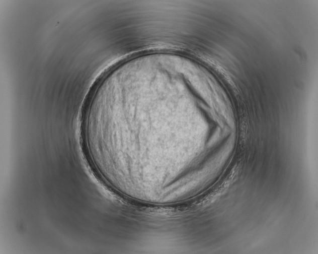 X0000112920991200909211049