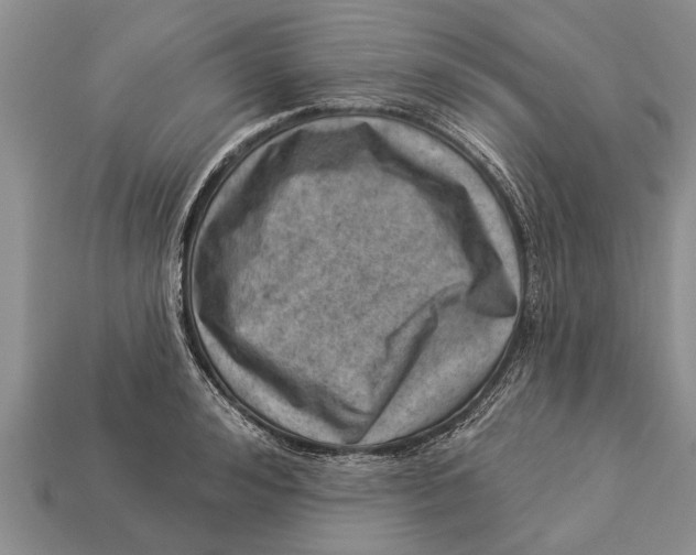 X0000112920992200909211049