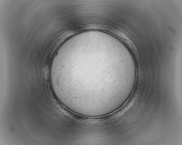 X0000112920993200909211048