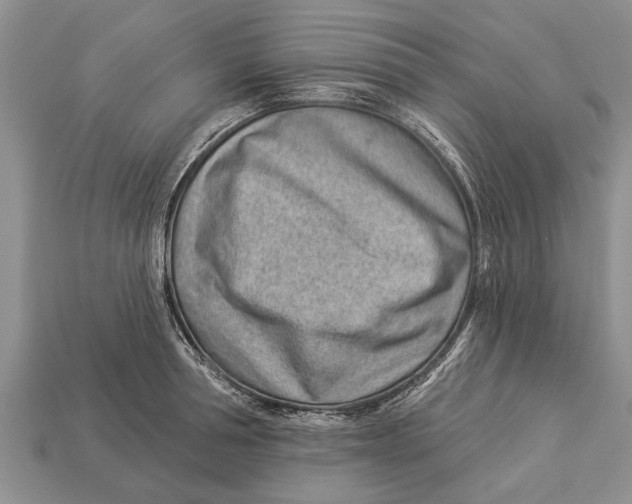 X0000112920994200909211048