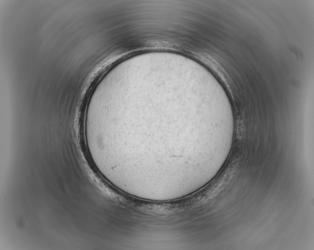 X0000112920995200909211048