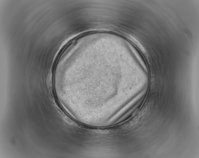 X0000112920996200909211048