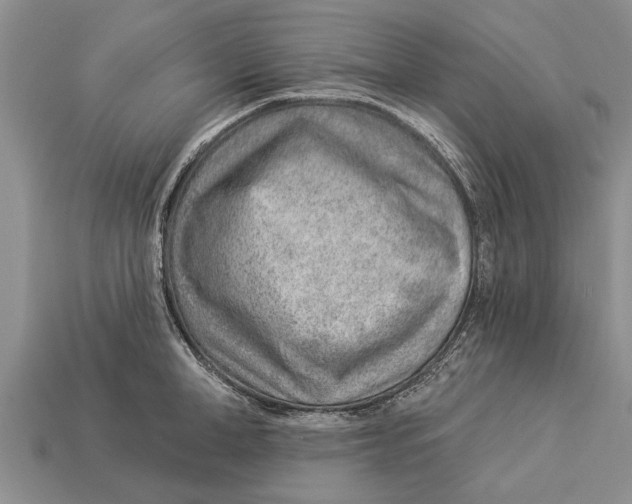 X0000112920998200909211048