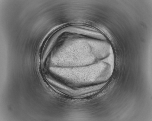 X0000112921000200909211048