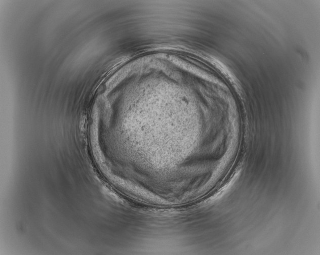 X0000112921001200909211048