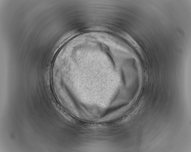 X0000112921002200909211048