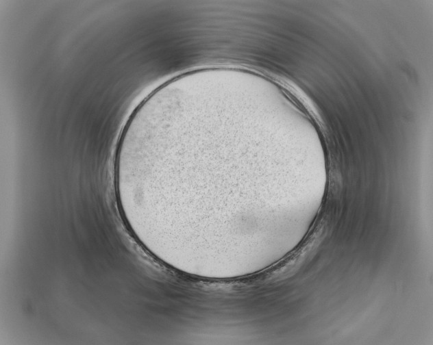 X0000112921004200909211048