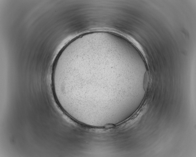 X0000112921005200909211048