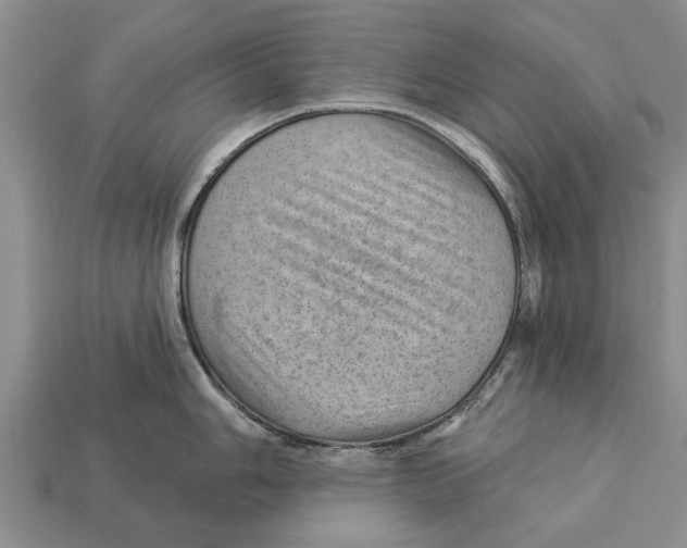 X0000112921006200909211048