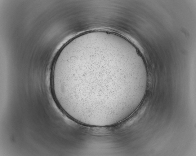 X0000112921007200909211048