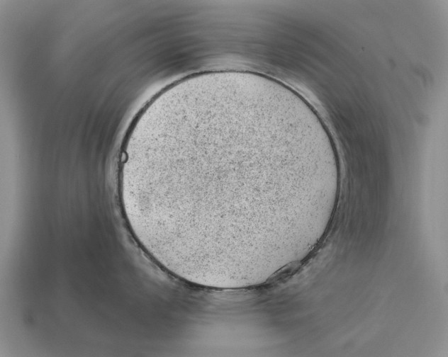 X0000112921008200909211048