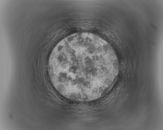 X0000112921009200909211048