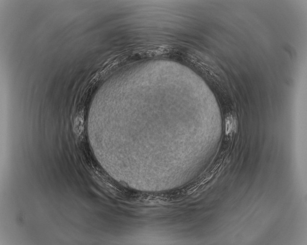 X0000112921011200909211048