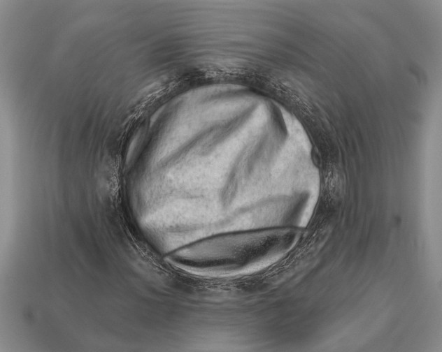 X0000112921012200909211048