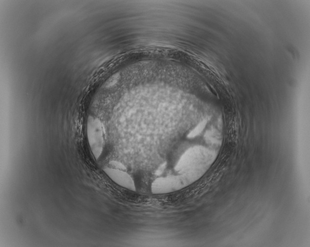 X0000112921013200909211048