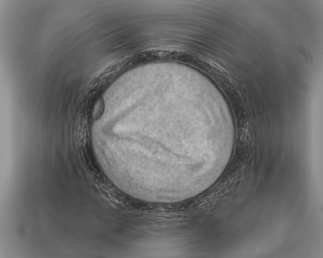 X0000112921014200909211048